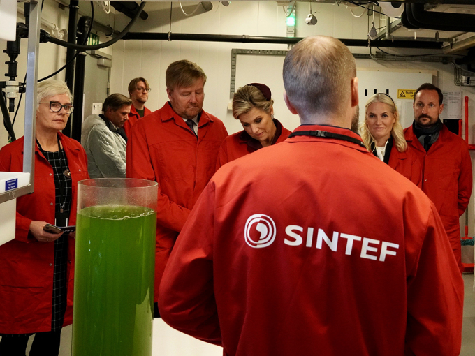 In the laboratory of the Norwegian Centre for Plankton Technology the Royal company learned how algae, plankton, seaweed and kelp can become food for people and animals. Photo: Simen Løvberg Sund, The Royal Court